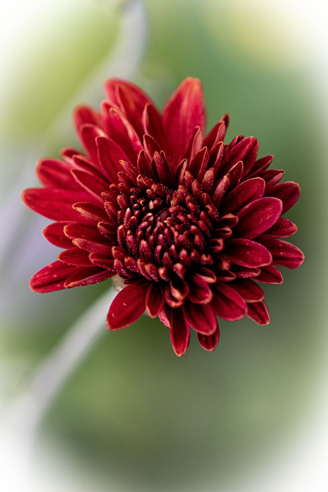 Photograph by Наталья