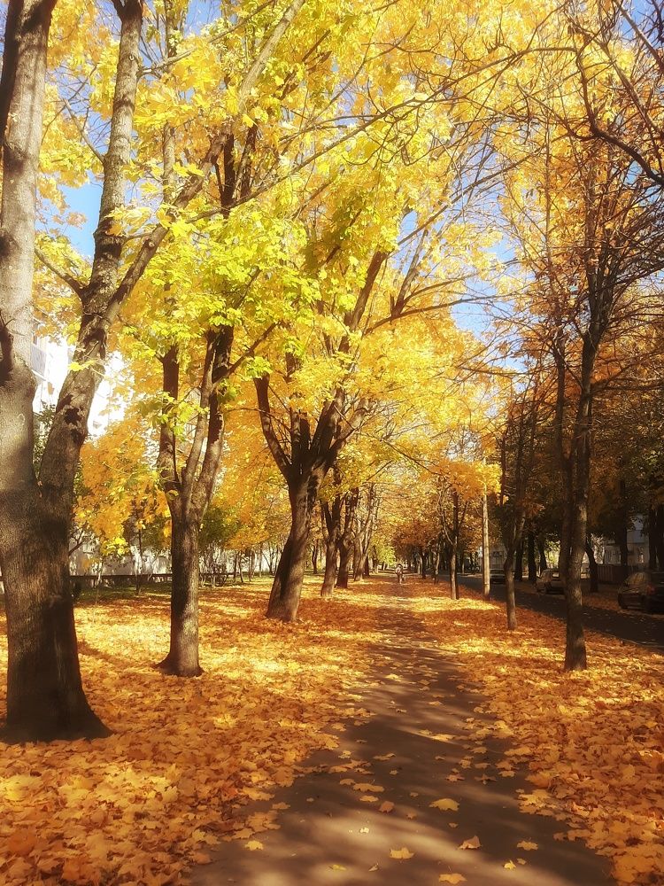 Фотография автора Ольга Никанович