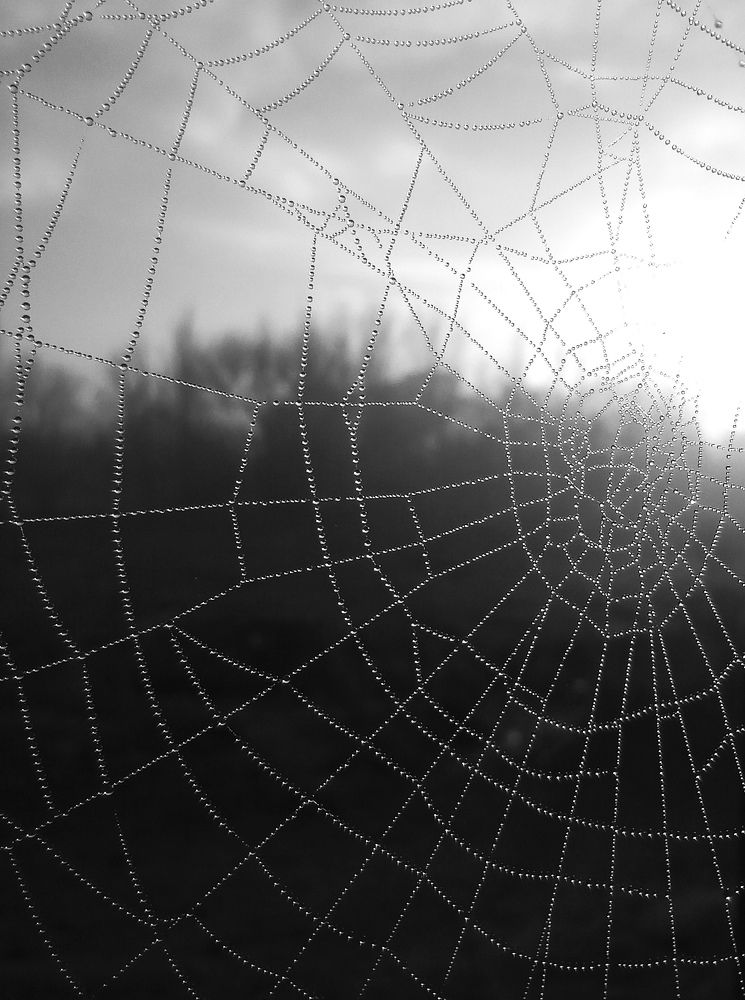 Photograph by Gleydda Gutierrez