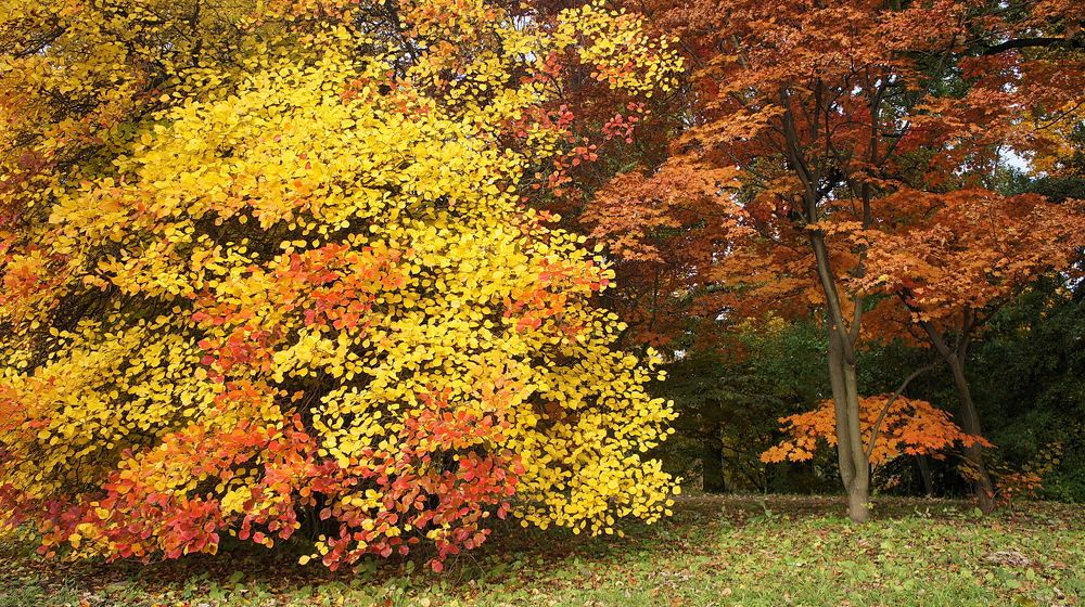 Photograph by Евгений Устинов