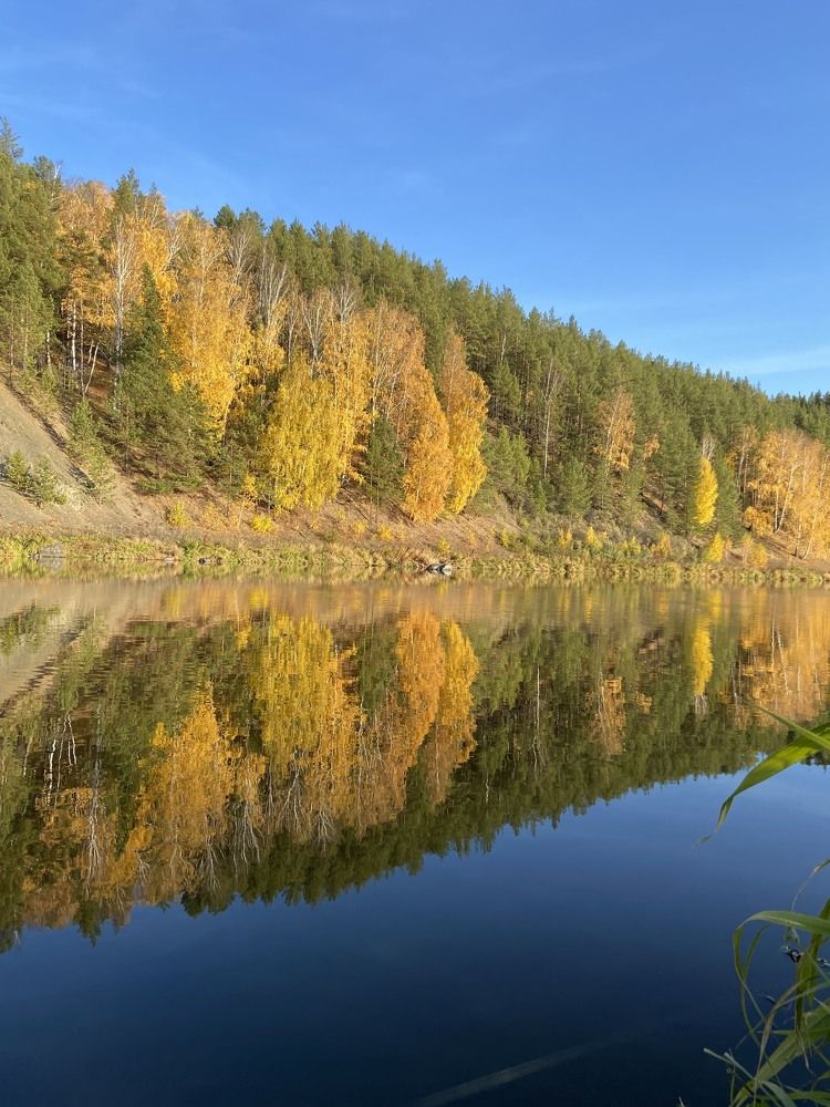 Photograph by Ольга Дождикова