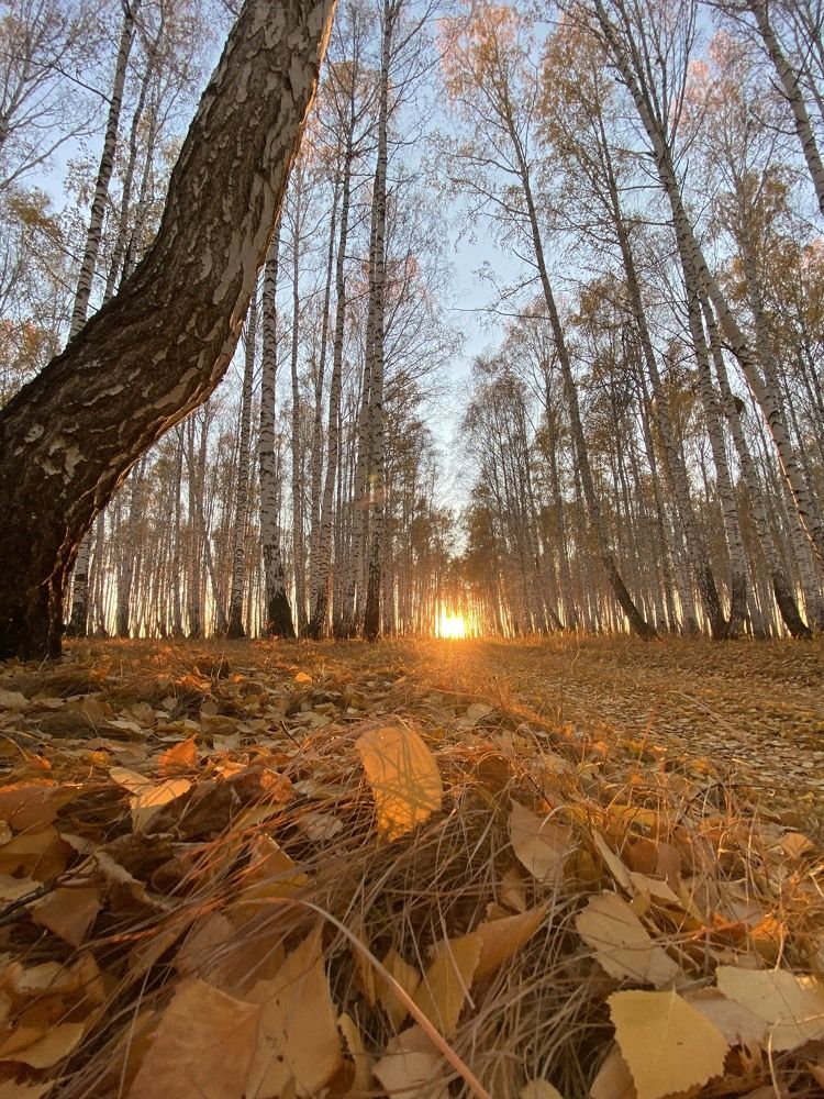 Photograph by Ольга Дождикова