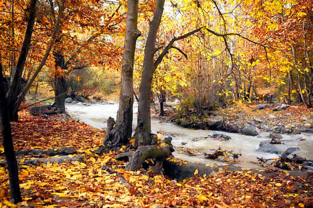 Photograph by DAMOUN POURNEMATI