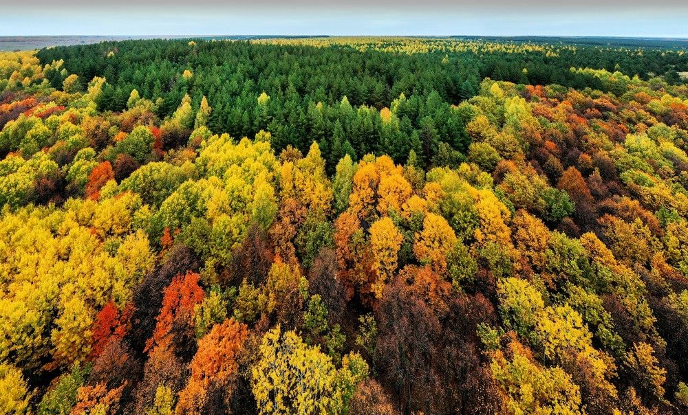 Photograph by Назаров Александр