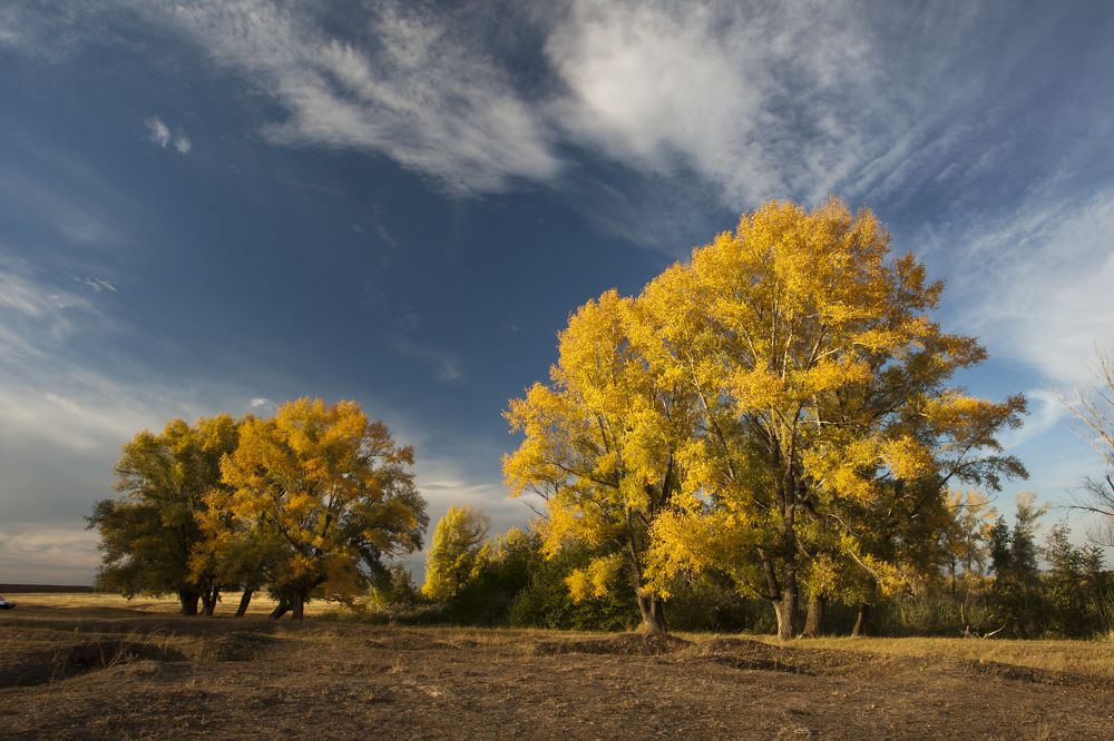 Фотография автора Олег Грачёв