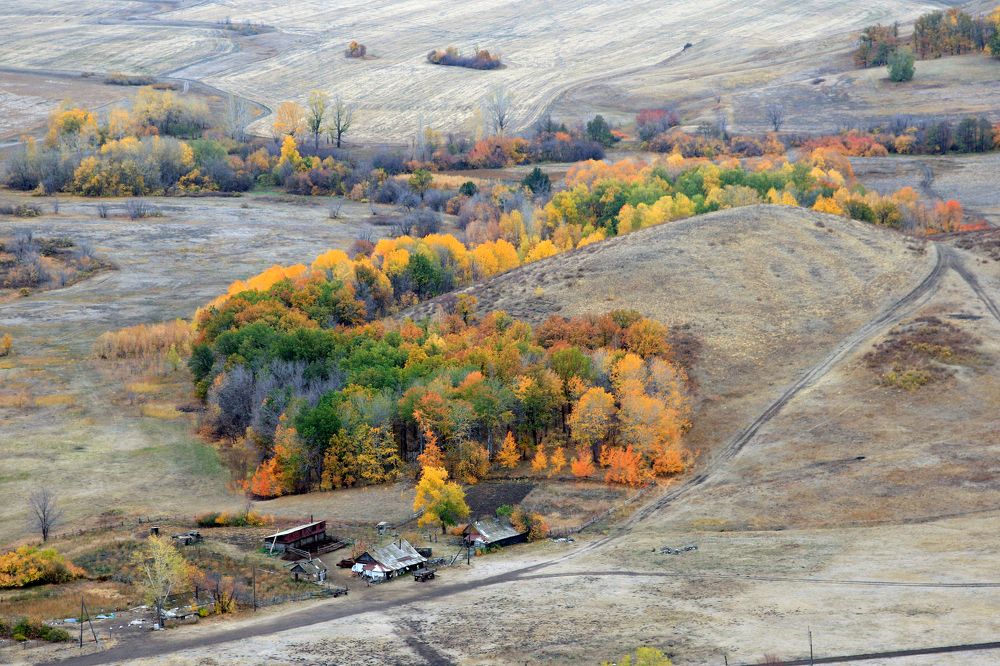 Фотография автора Олег Грачёв
