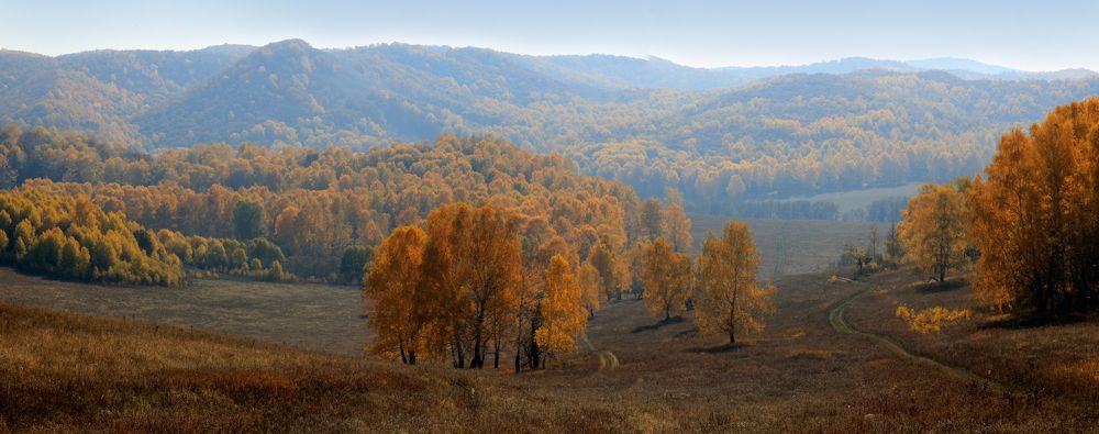 Фотография автора Олег Грачёв