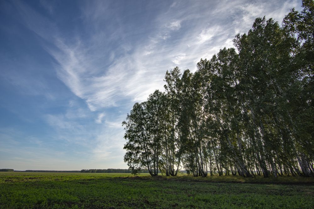 Photograph by Денис Гуляев