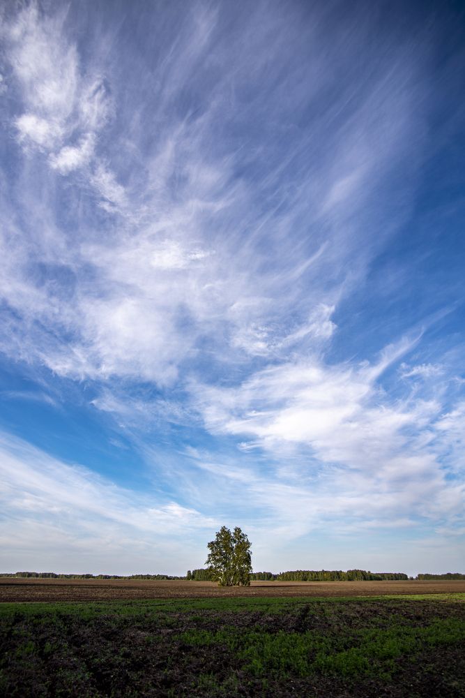 Photograph by Денис Гуляев