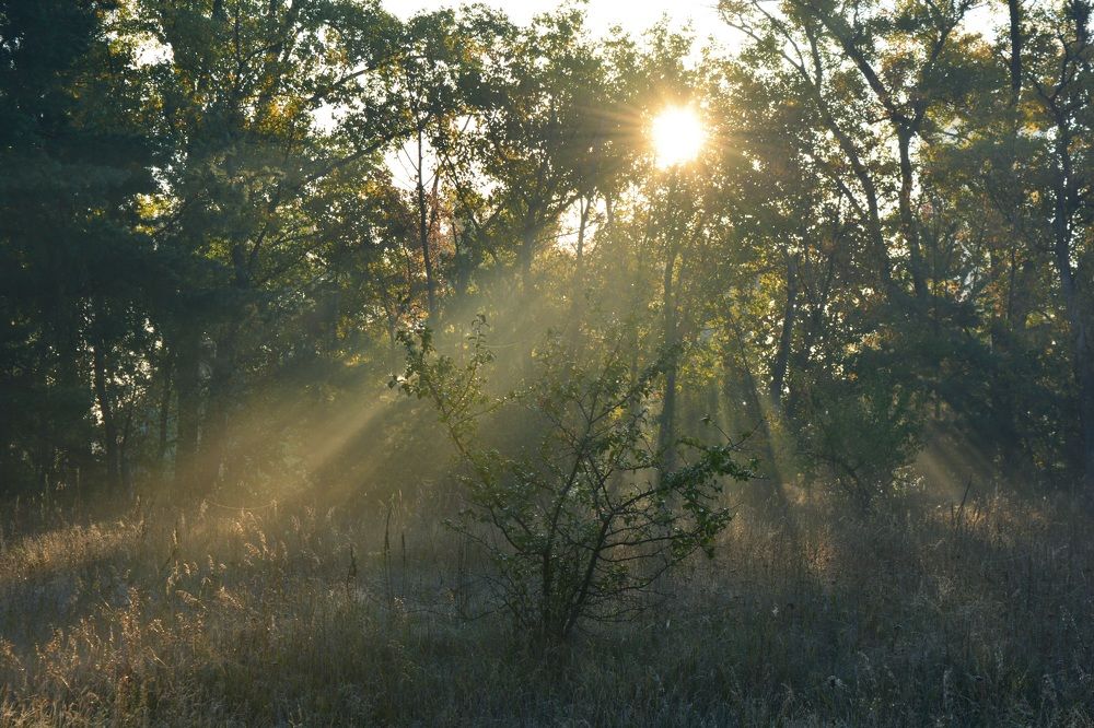 Photograph by Ольга Коруц
