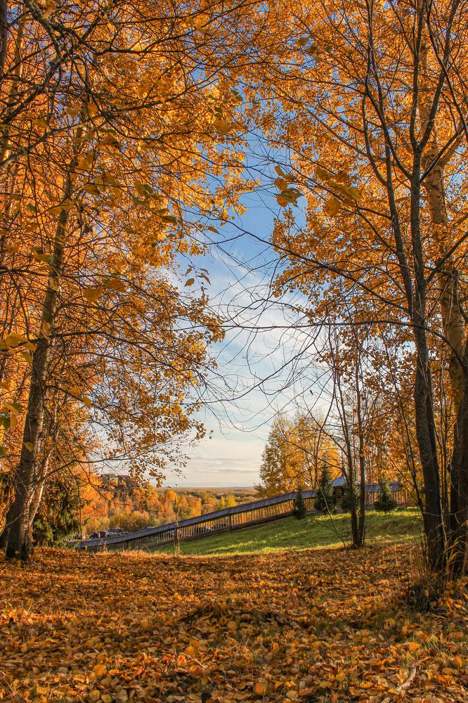 Photograph by Ольга Ситникова