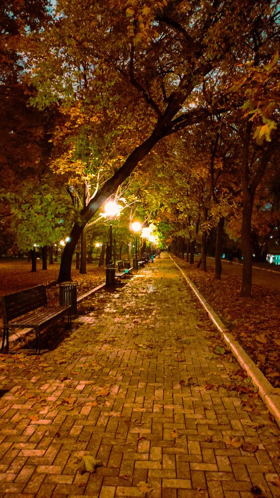 Photograph by Екатерина Романова