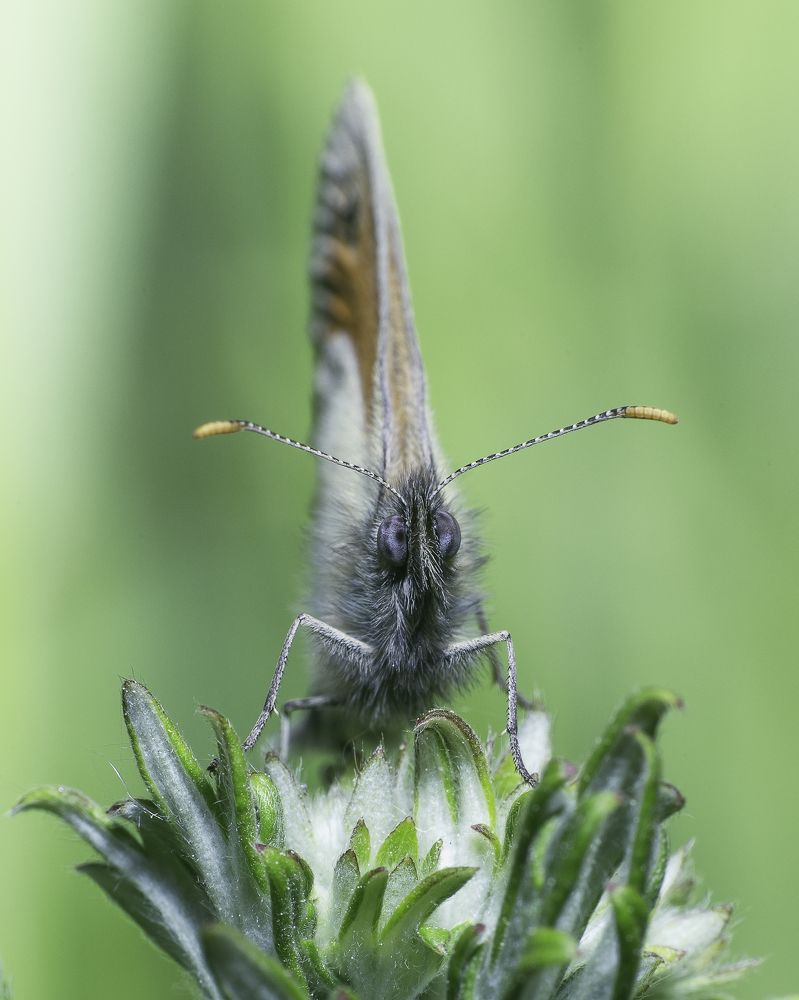 Photograph by Михаил