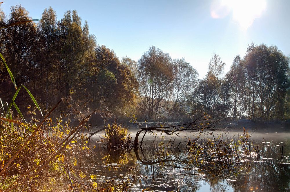 Photograph by Кирилл Митрошкин