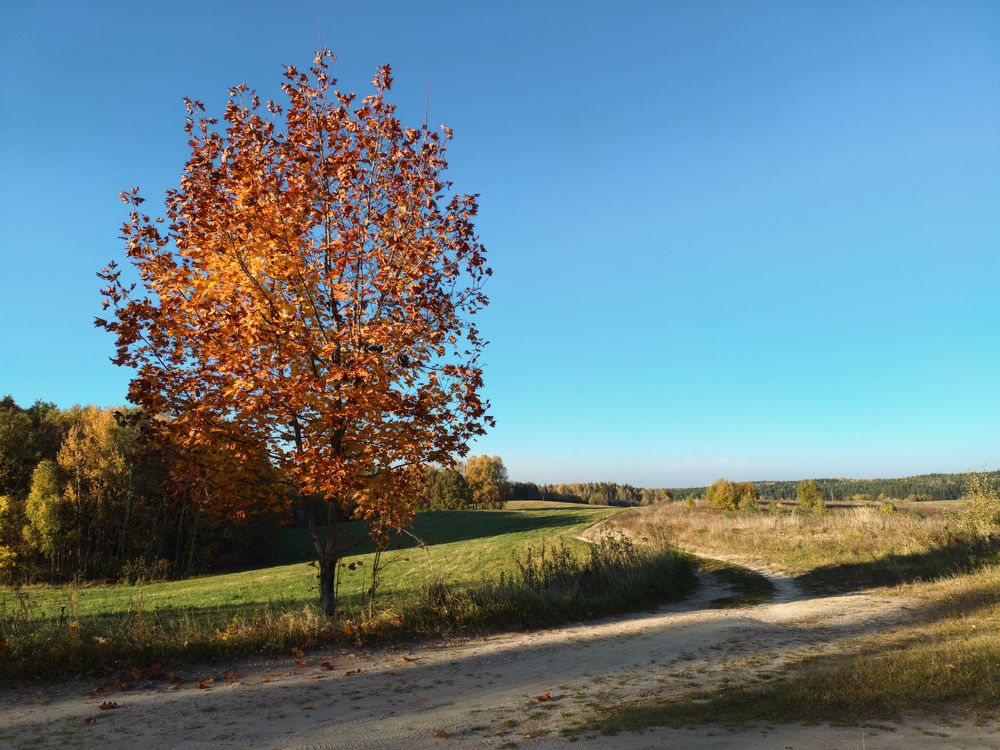 Photograph by Виталий Снегин