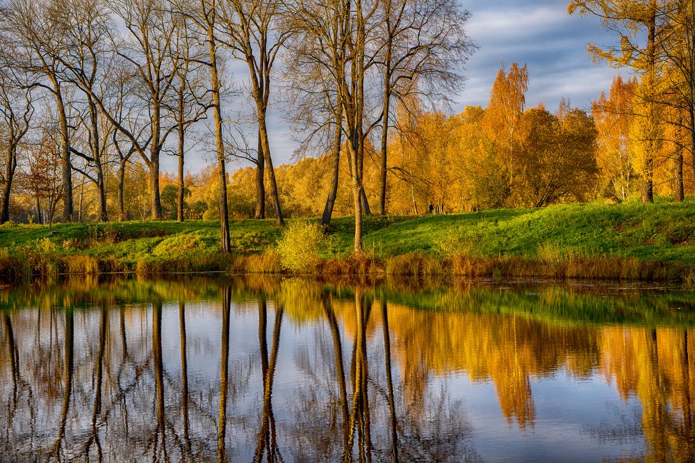 Пруд в Александровском парке