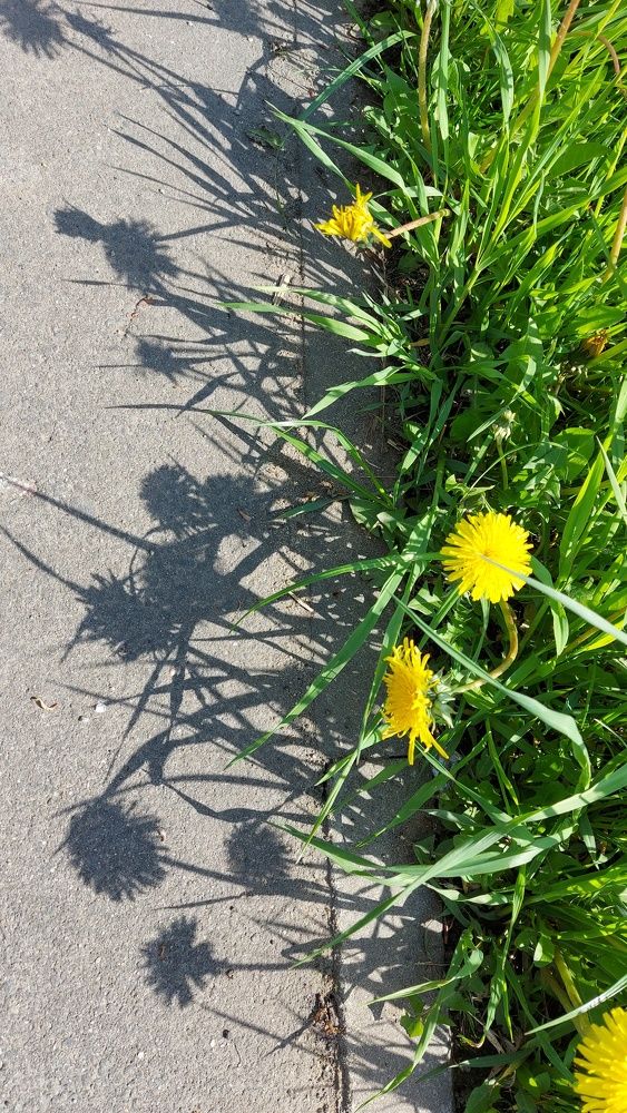 Photograph by ЭЛЬМИРА  ИСМАИЛОВА