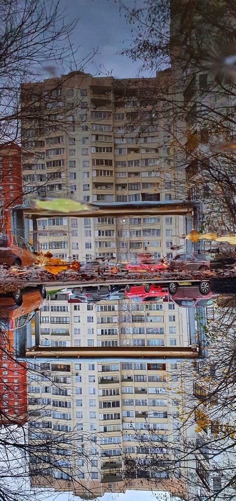 Photograph by Алина Акишина