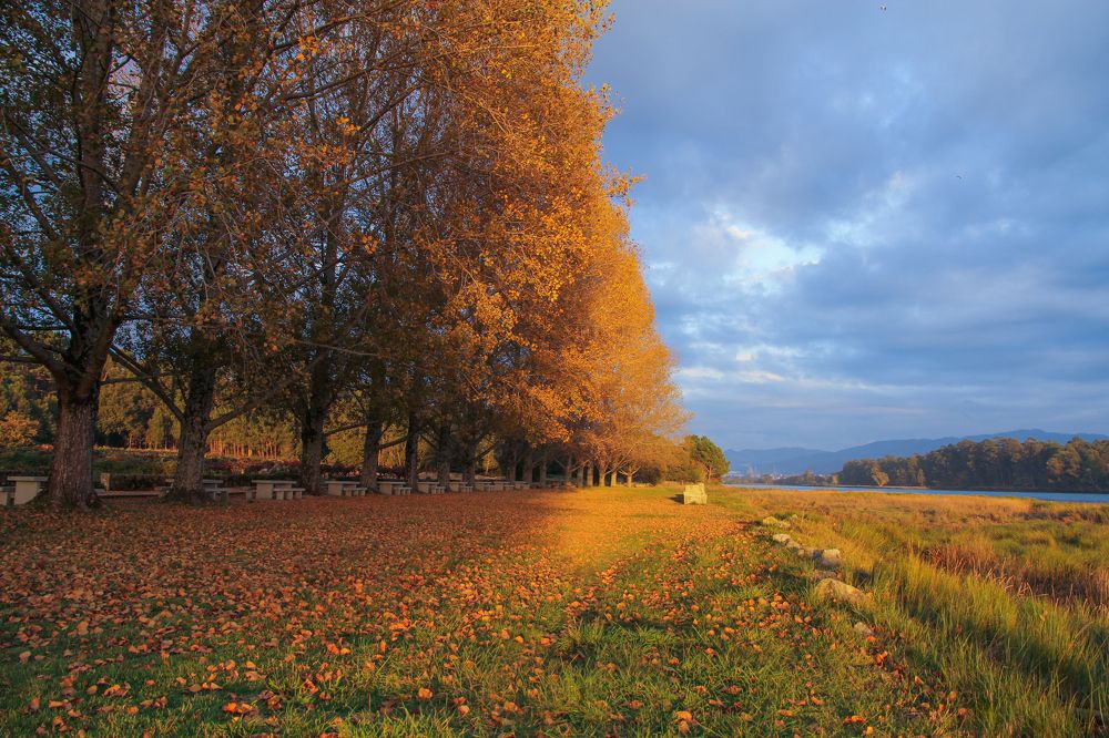 Photograph by Luis Sergio Goncalves