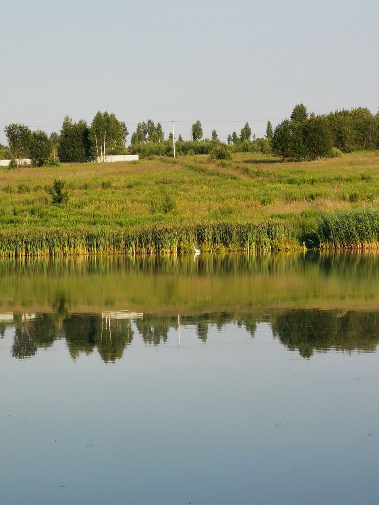 Photograph by Александр Костин