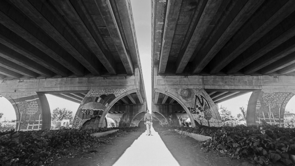 Photograph by amin Sharafiani