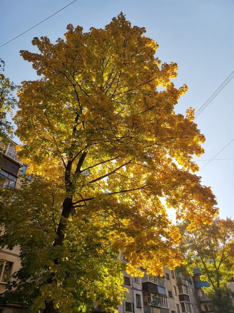 Photograph by Александр Костин