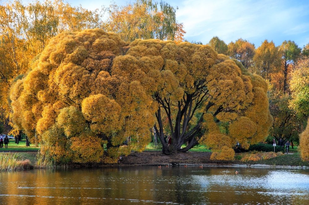 Photograph by Alexander Coin