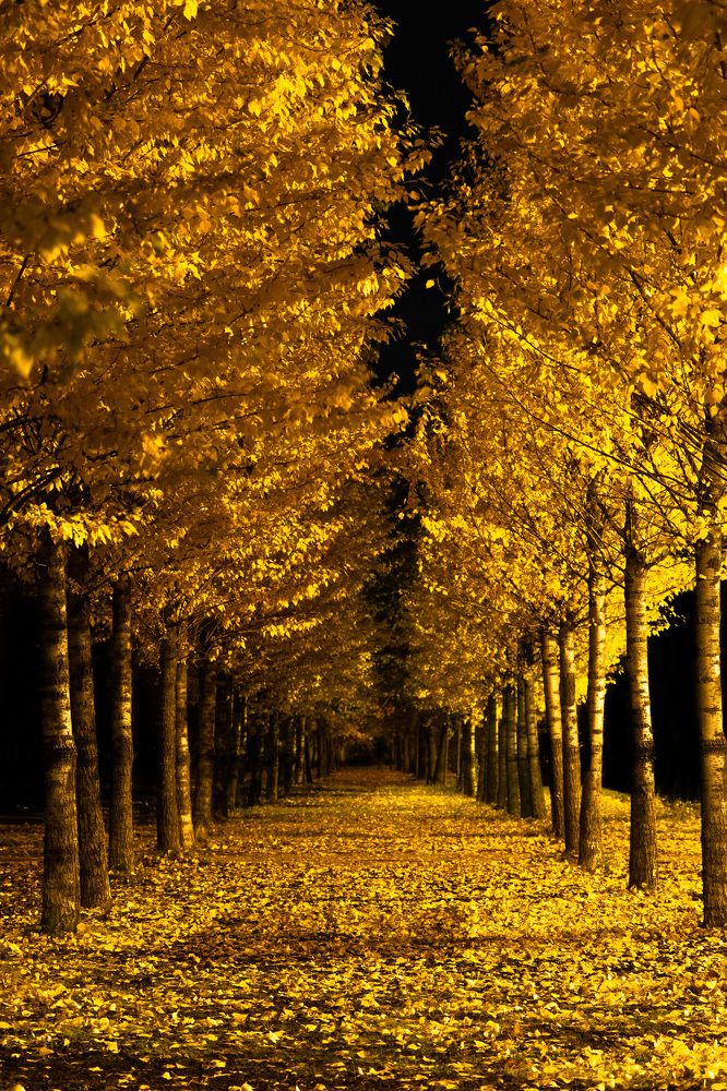 Photograph by Денис Боровских