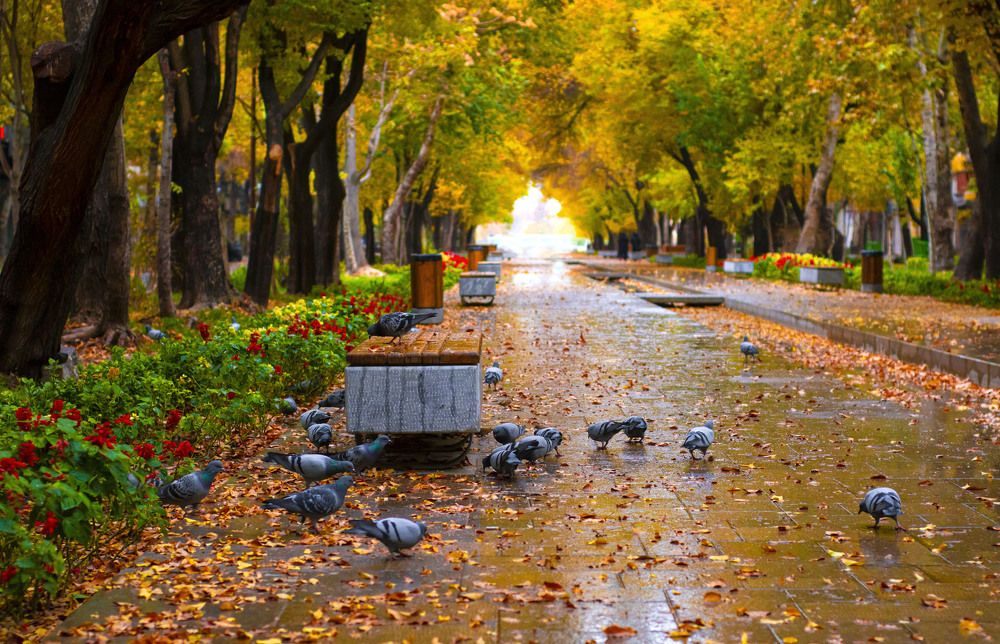 Photograph by keyvan khatami