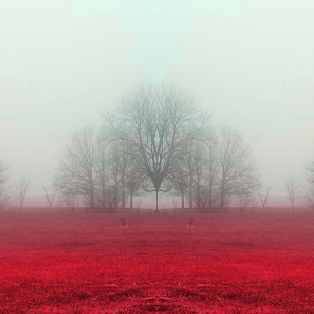 Photograph by Nikki May