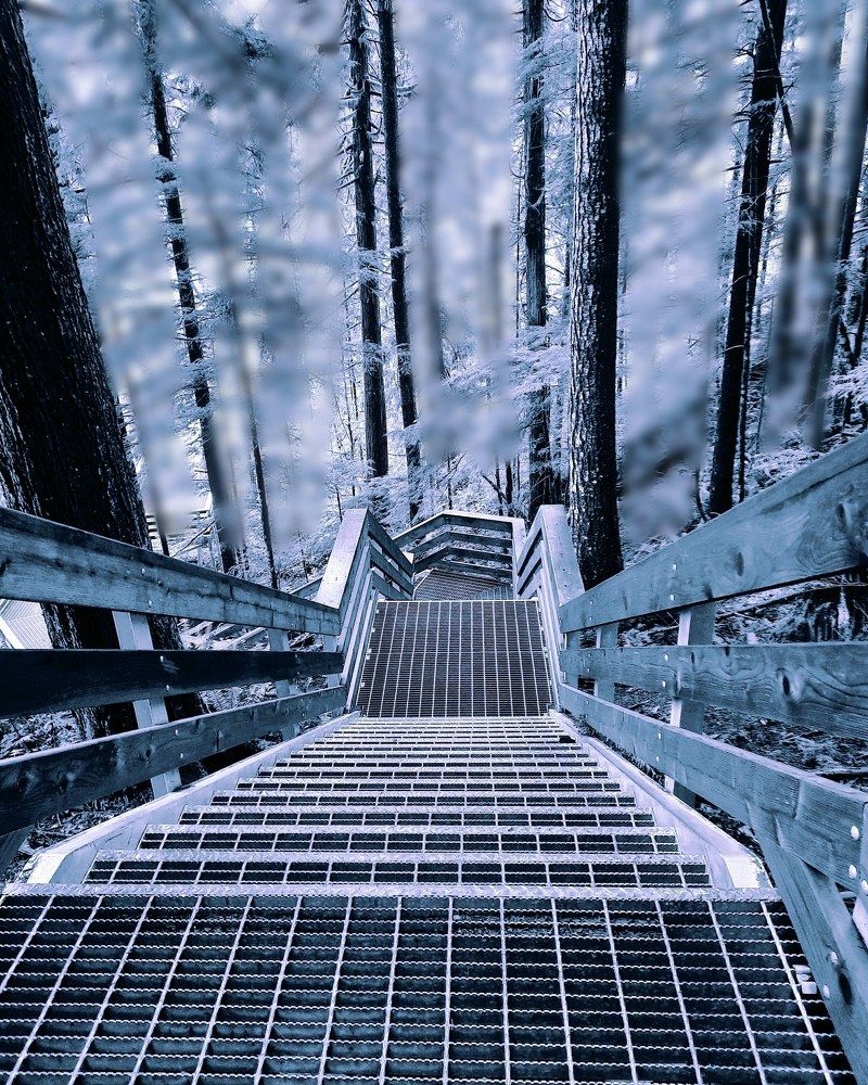 Photograph by Nikki May