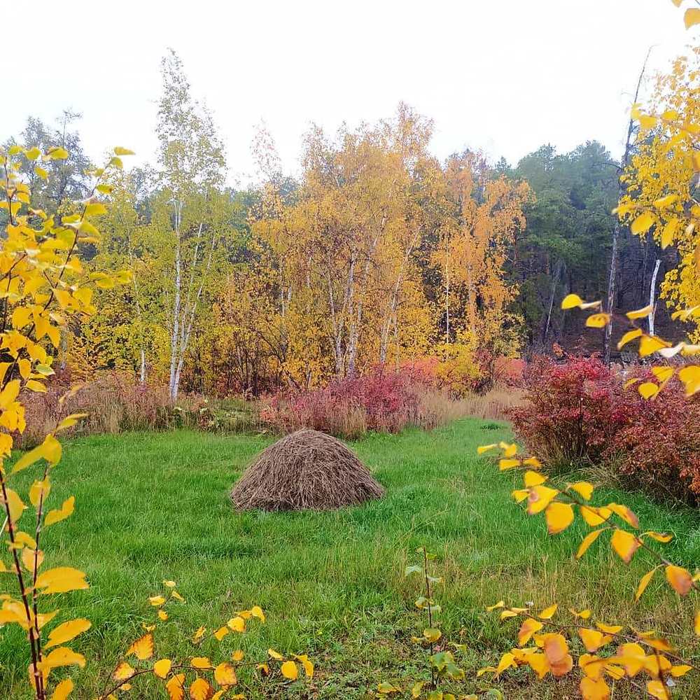Photograph by Надежда Иванова