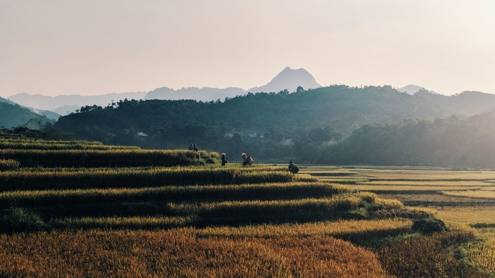 Photograph by Dương Nguyễn