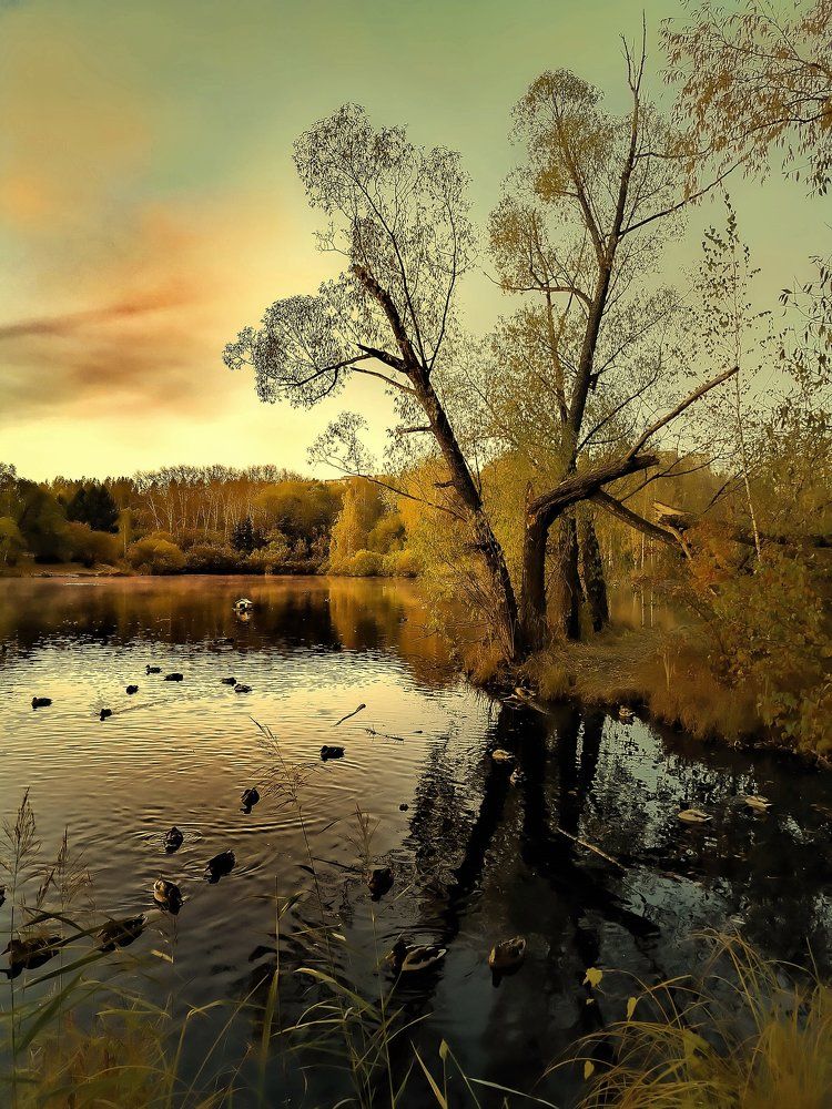 Photograph by Александр Разумов