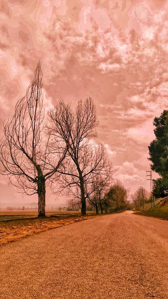 Photograph by Nihad dyani