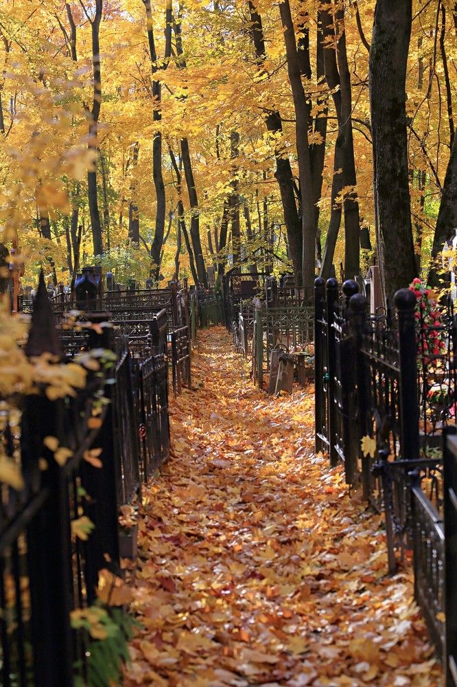 Photograph by Сергей Ключарёв