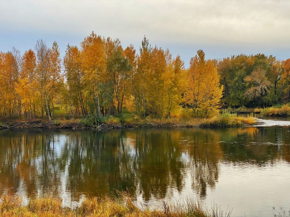 Photograph by Дана Жулдызбек