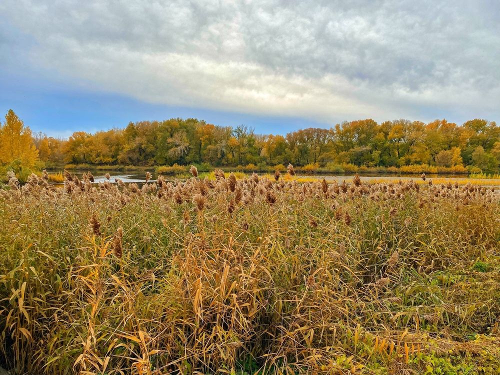 Photograph by Дана Жулдызбек