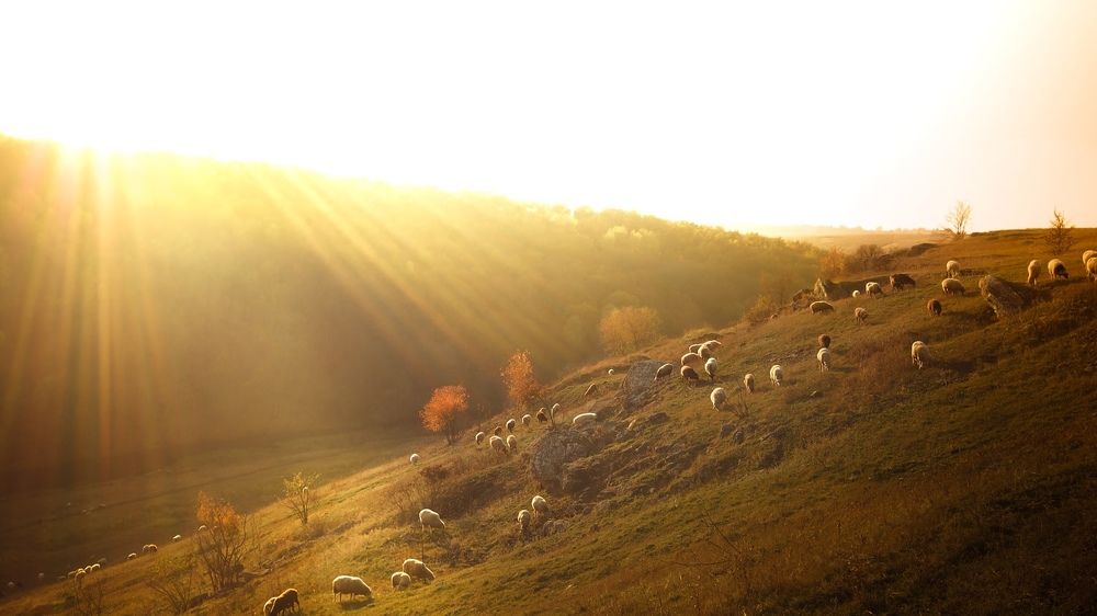Фотография автора Михаил Назаров