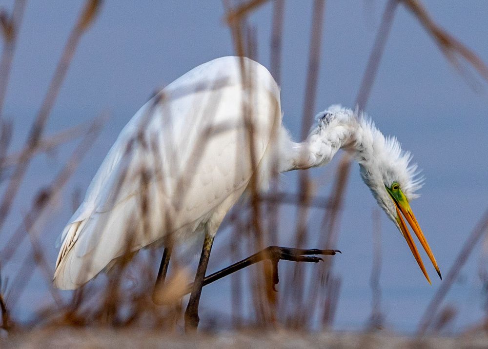 Photograph by Яна Толмачёва