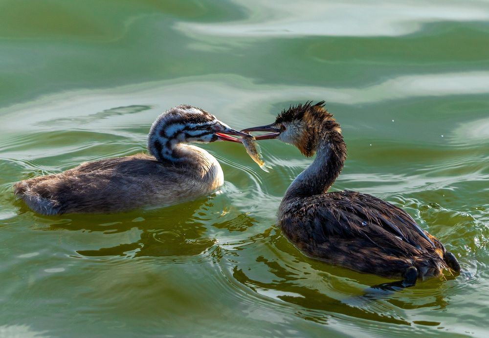 Photograph by Яна Толмачёва