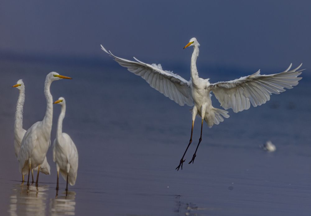 Photograph by Яна Толмачёва