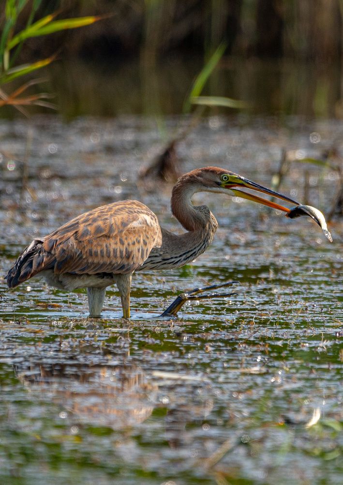 Photograph by Яна Толмачёва