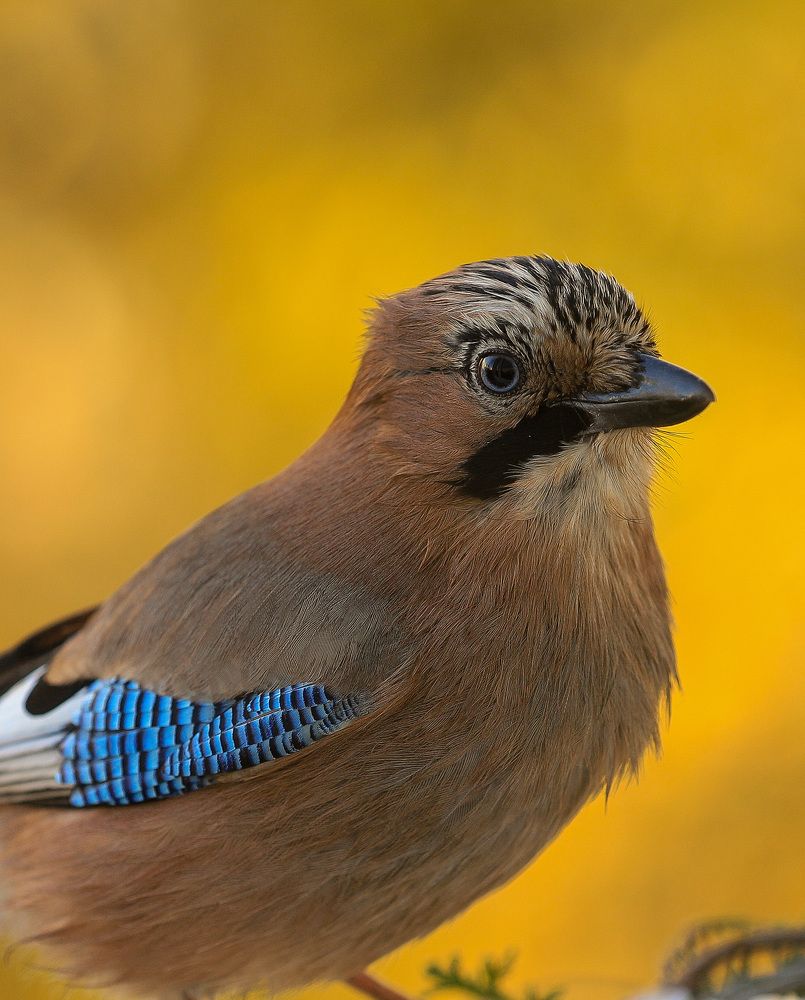 Photograph by Яна Толмачёва