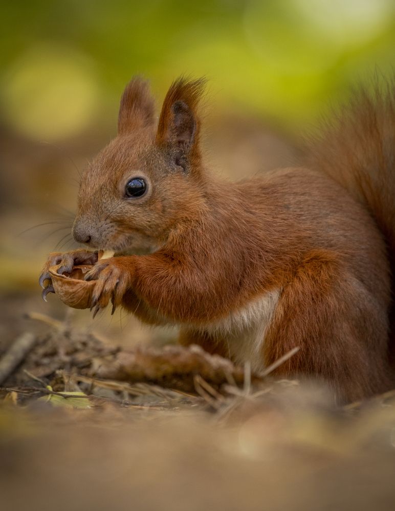 Photograph by Яна Толмачёва