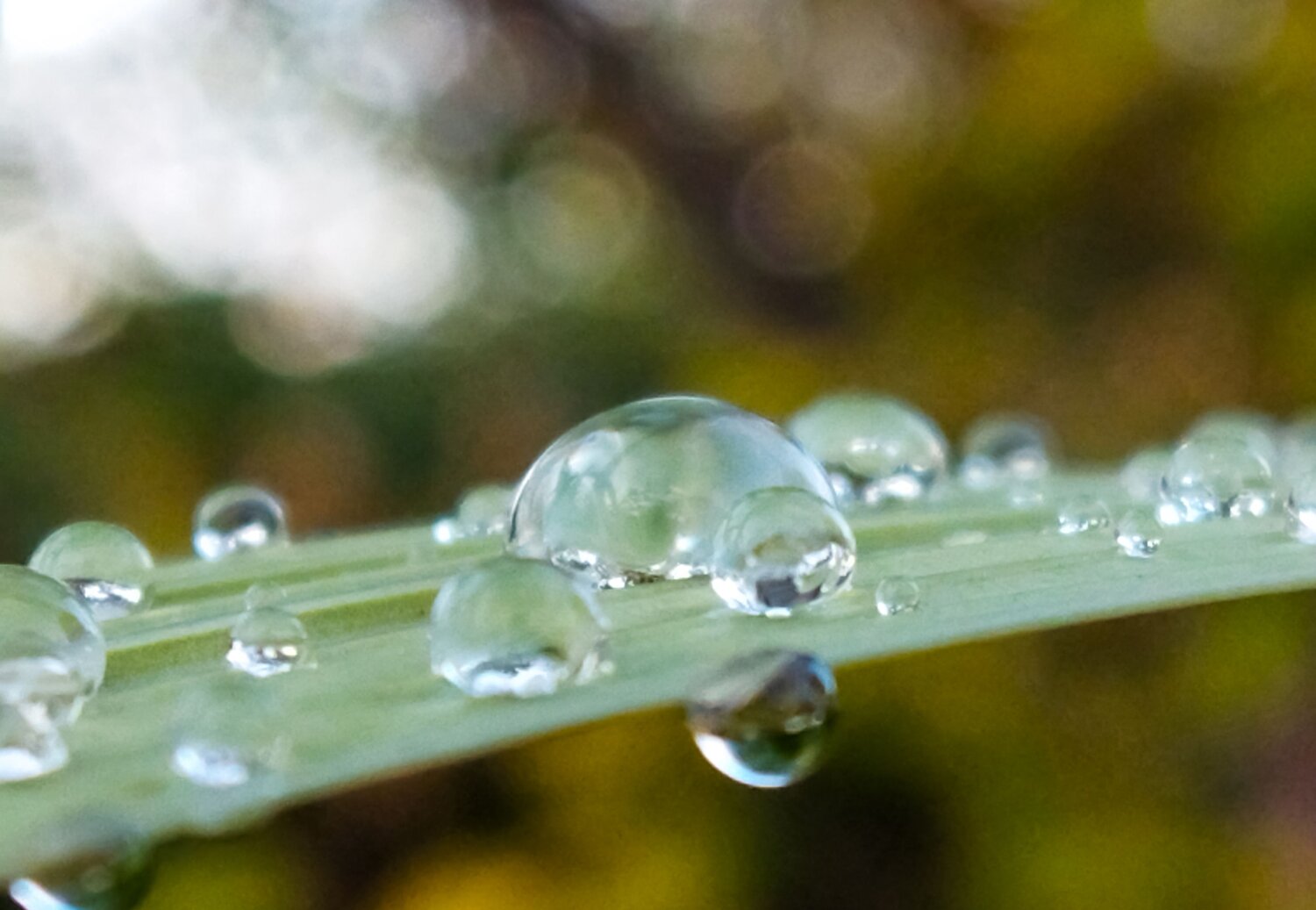 Photo #6589678
