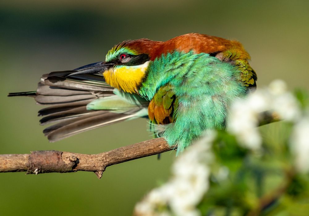 Photograph by Яна Толмачёва