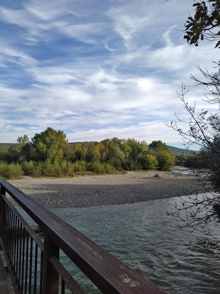 Photo #6589709