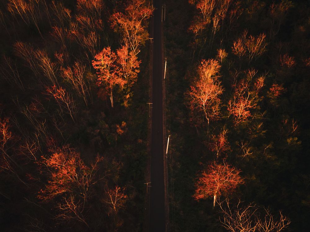 Photograph by Alexandre Lassémillante