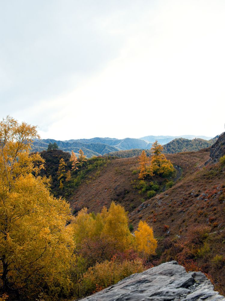 Photograph by Мухммадлоик Эшонкулов